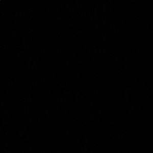 Meet your Posher, Greydin